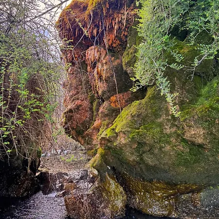 Les Sources Et Grottes Secretes Du Leman 아파트 *